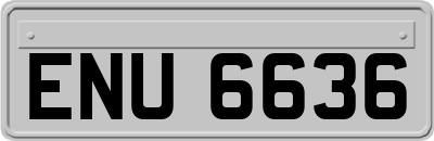 ENU6636