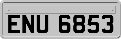 ENU6853
