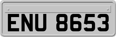 ENU8653