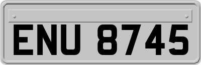 ENU8745