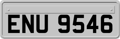ENU9546