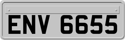 ENV6655