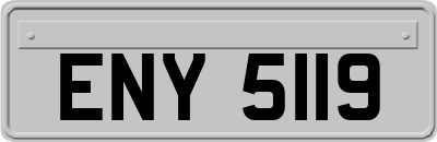 ENY5119