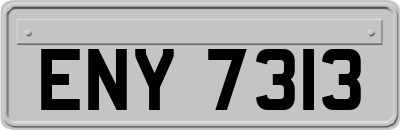 ENY7313