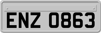 ENZ0863