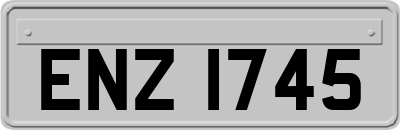 ENZ1745