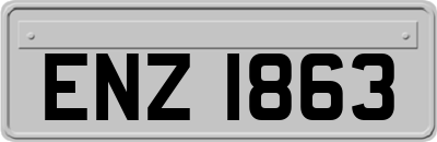 ENZ1863