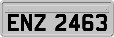 ENZ2463