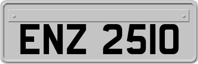 ENZ2510