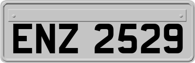 ENZ2529