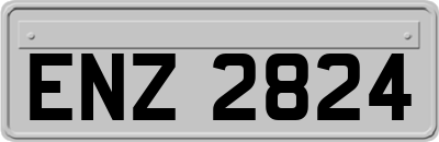ENZ2824