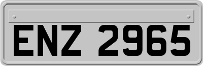 ENZ2965