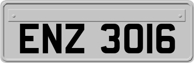 ENZ3016