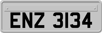 ENZ3134