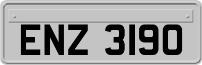 ENZ3190