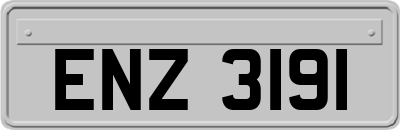 ENZ3191