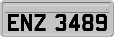 ENZ3489