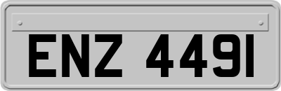 ENZ4491