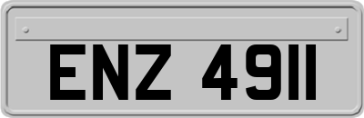 ENZ4911