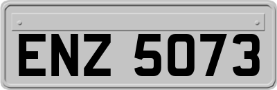 ENZ5073