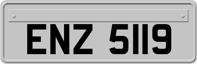 ENZ5119