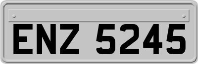 ENZ5245