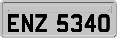 ENZ5340