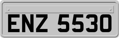 ENZ5530
