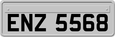 ENZ5568