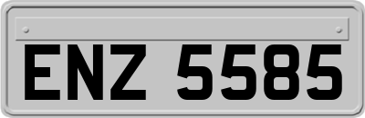 ENZ5585