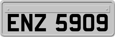 ENZ5909