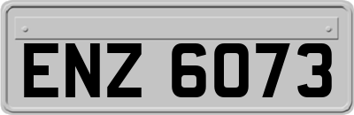 ENZ6073