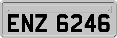 ENZ6246