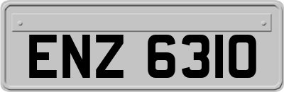 ENZ6310