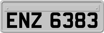 ENZ6383