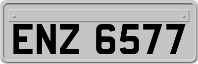ENZ6577