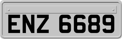 ENZ6689