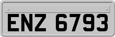 ENZ6793