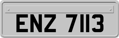 ENZ7113