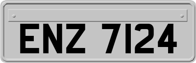 ENZ7124