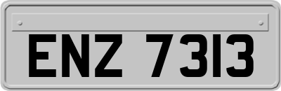 ENZ7313