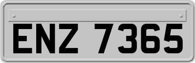ENZ7365