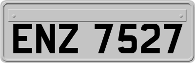 ENZ7527