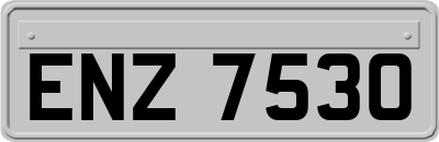 ENZ7530