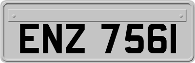 ENZ7561