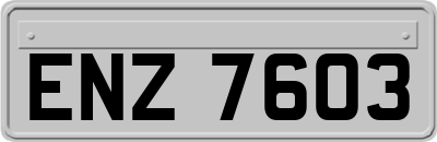 ENZ7603