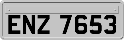 ENZ7653