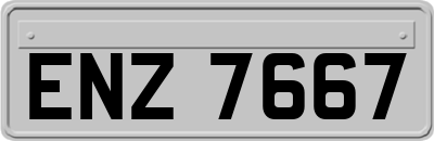 ENZ7667