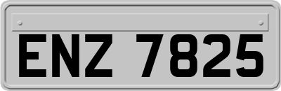 ENZ7825