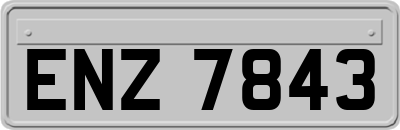 ENZ7843